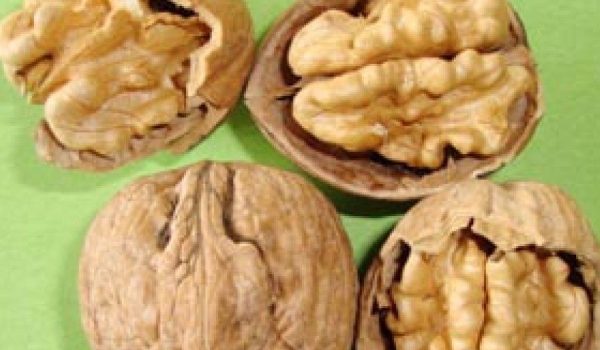 fernor walnut